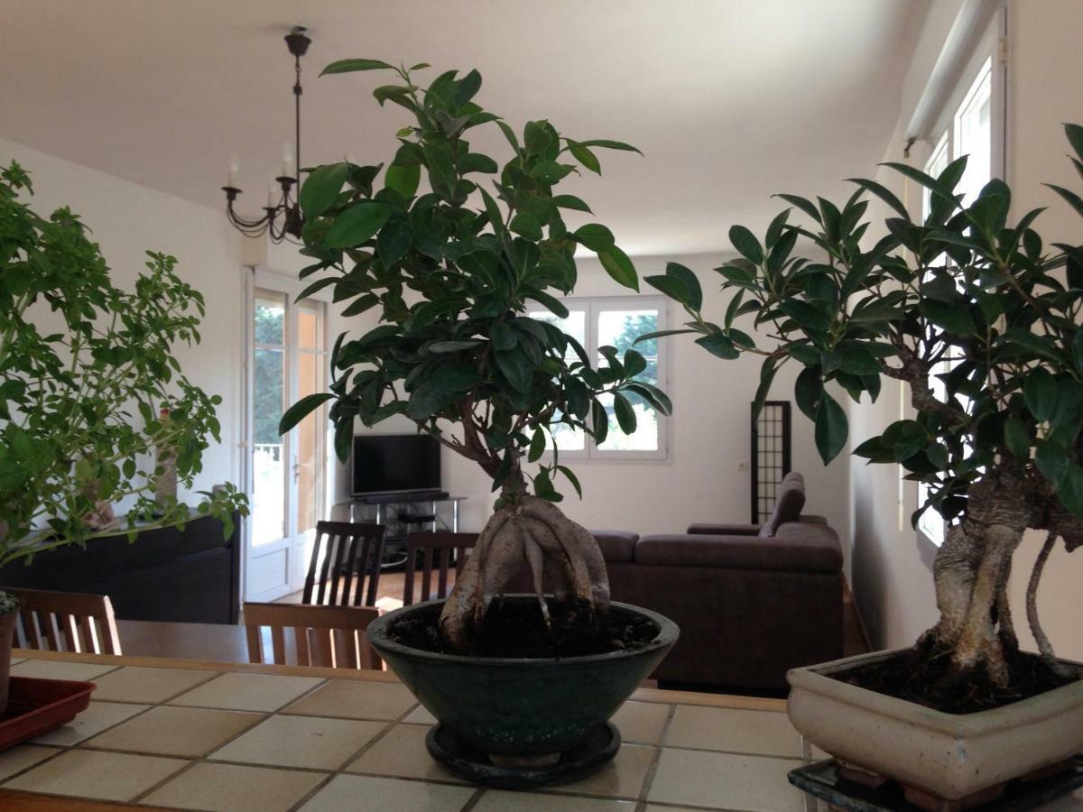 Appartement Salvaterra Sauveterre  Luaran gambar