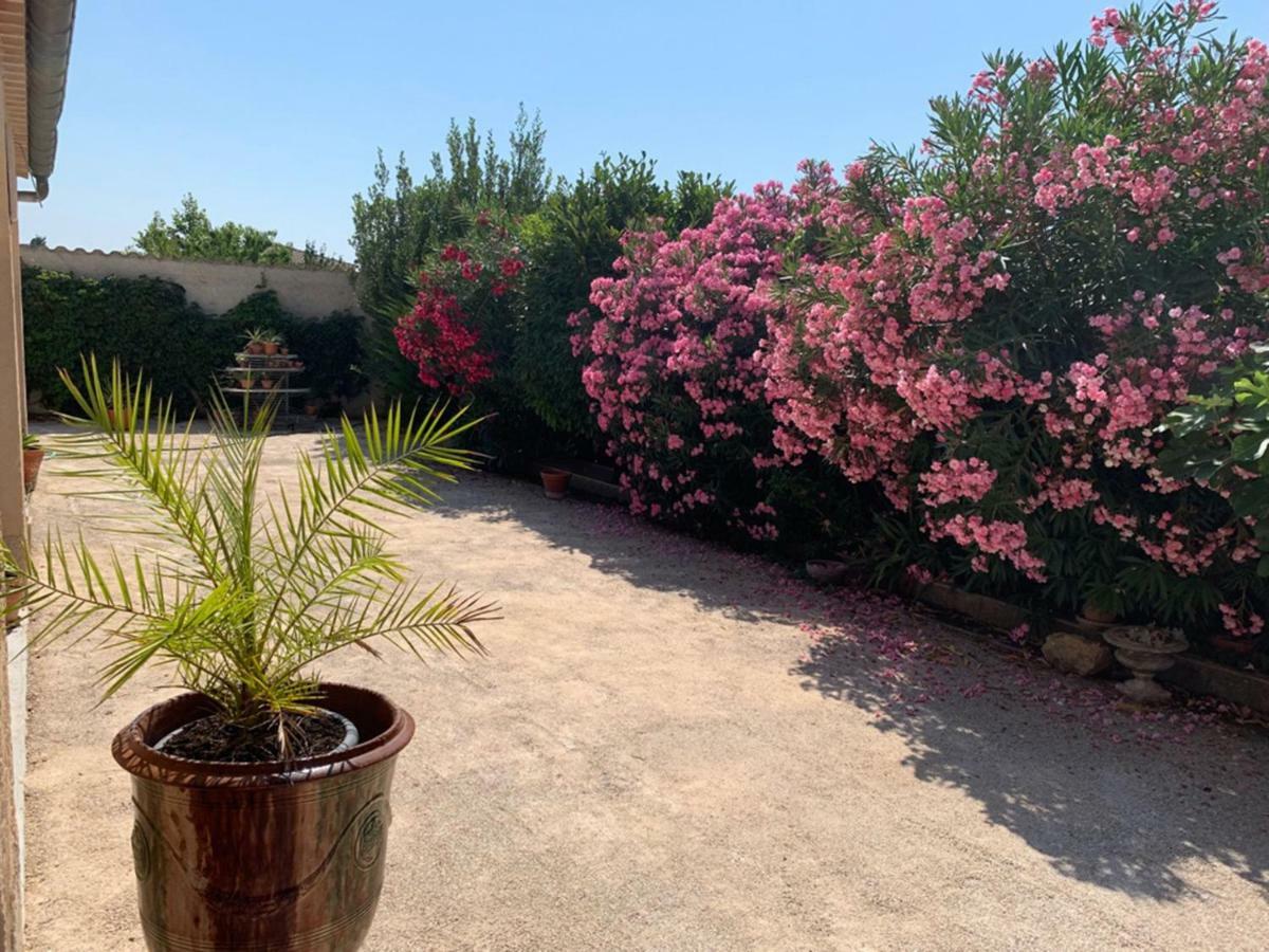 Appartement Salvaterra Sauveterre  Luaran gambar
